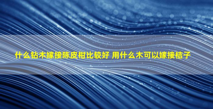 什么钻木嫁接陈皮柑比较好 用什么木可以嫁接桔子